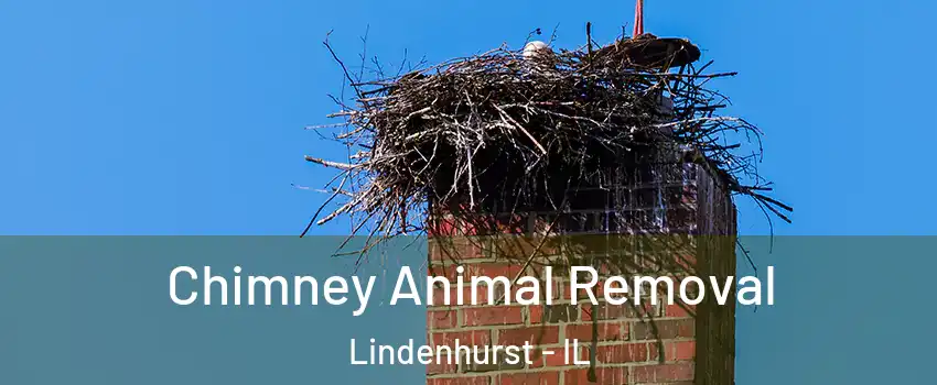 Chimney Animal Removal Lindenhurst - IL