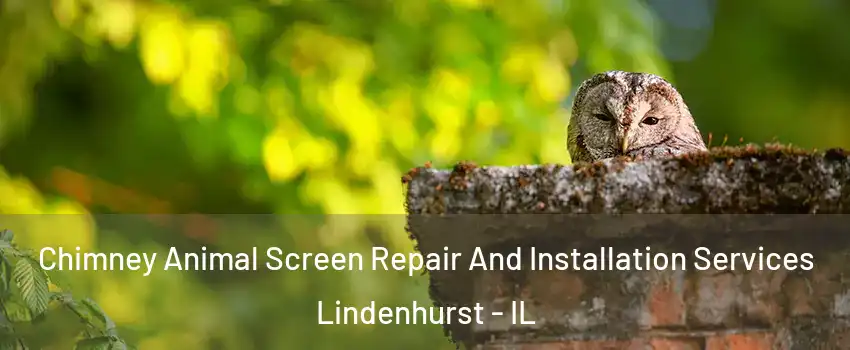  Chimney Animal Screen Repair And Installation Services Lindenhurst - IL