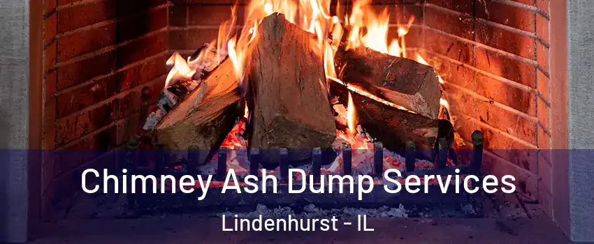  Chimney Ash Dump Services Lindenhurst - IL