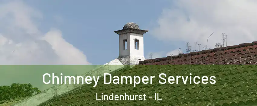  Chimney Damper Services Lindenhurst - IL