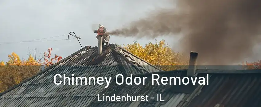  Chimney Odor Removal Lindenhurst - IL