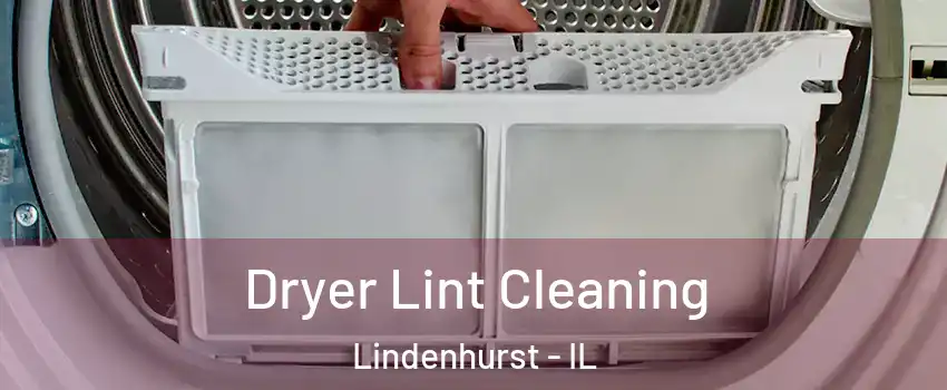  Dryer Lint Cleaning Lindenhurst - IL