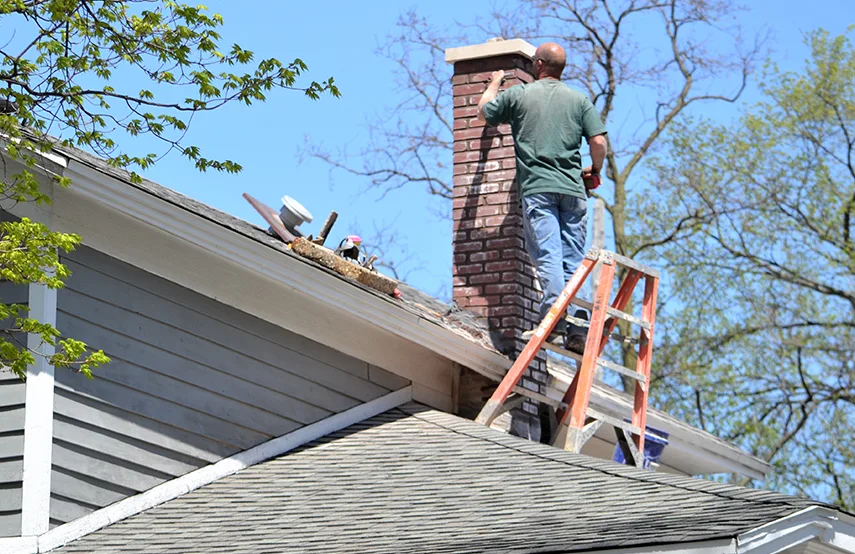 Chimney & Fireplace Inspections Services in Lindenhurst, IL