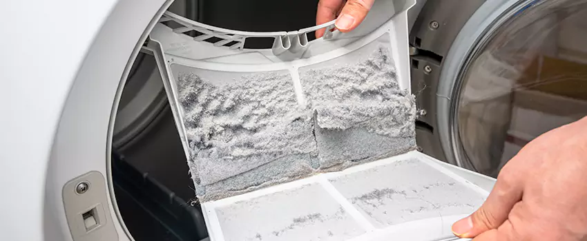 Best Dryer Lint Removal Company in Lindenhurst, Illinois